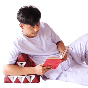 NETA - Thai Triangle Pillow - 19 x 12 inches - Comfortable and Versatile