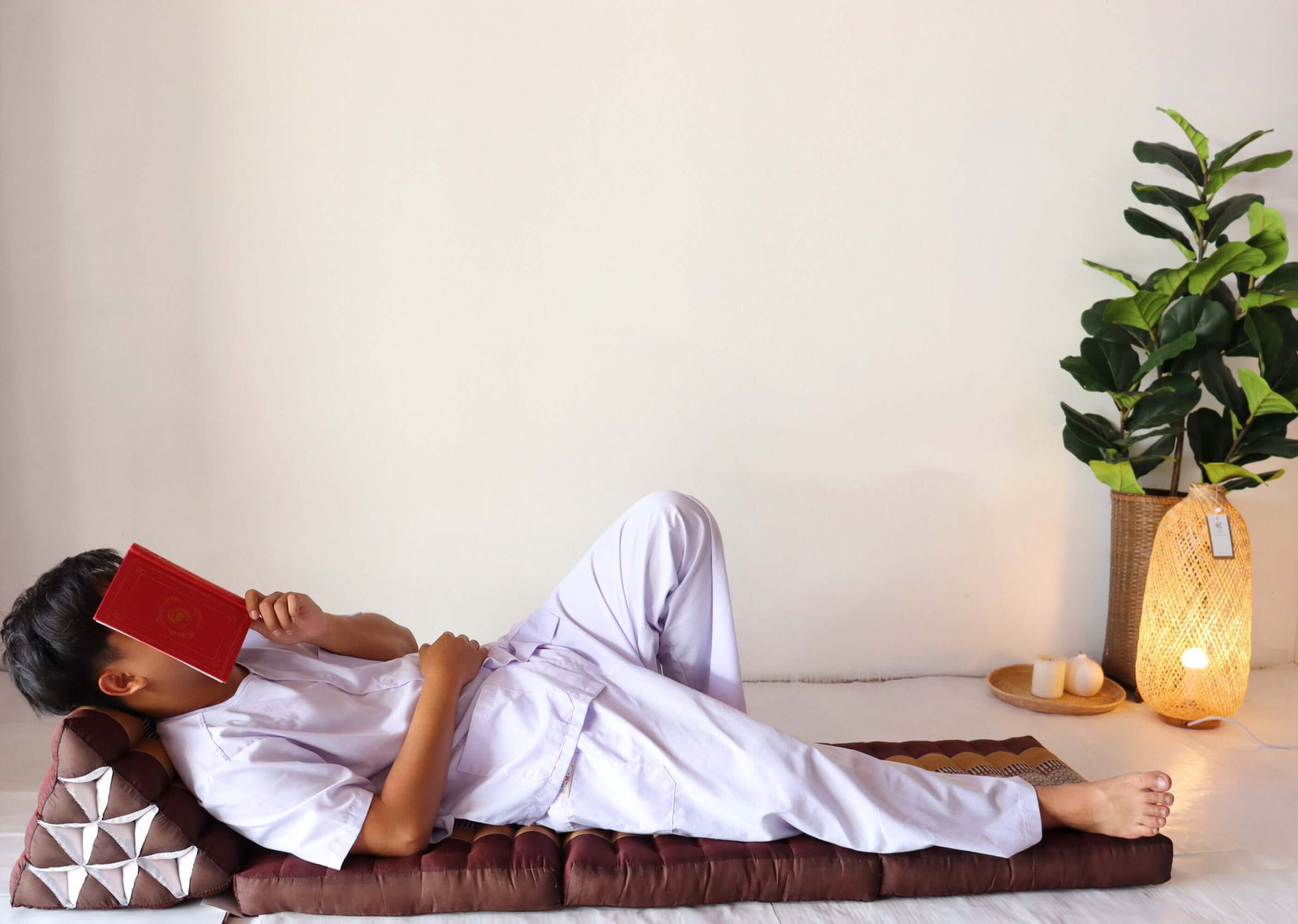 Thai Triangle 3 Fold Pillow - Cushion - Mattress Explained