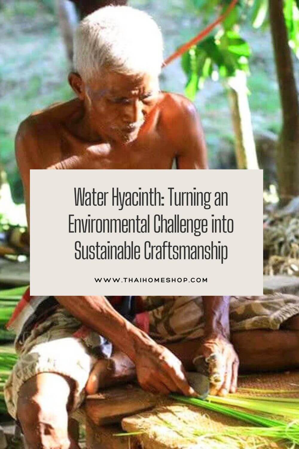 Palm Leaf Products: Sustainable and Earth-Friendly Creations