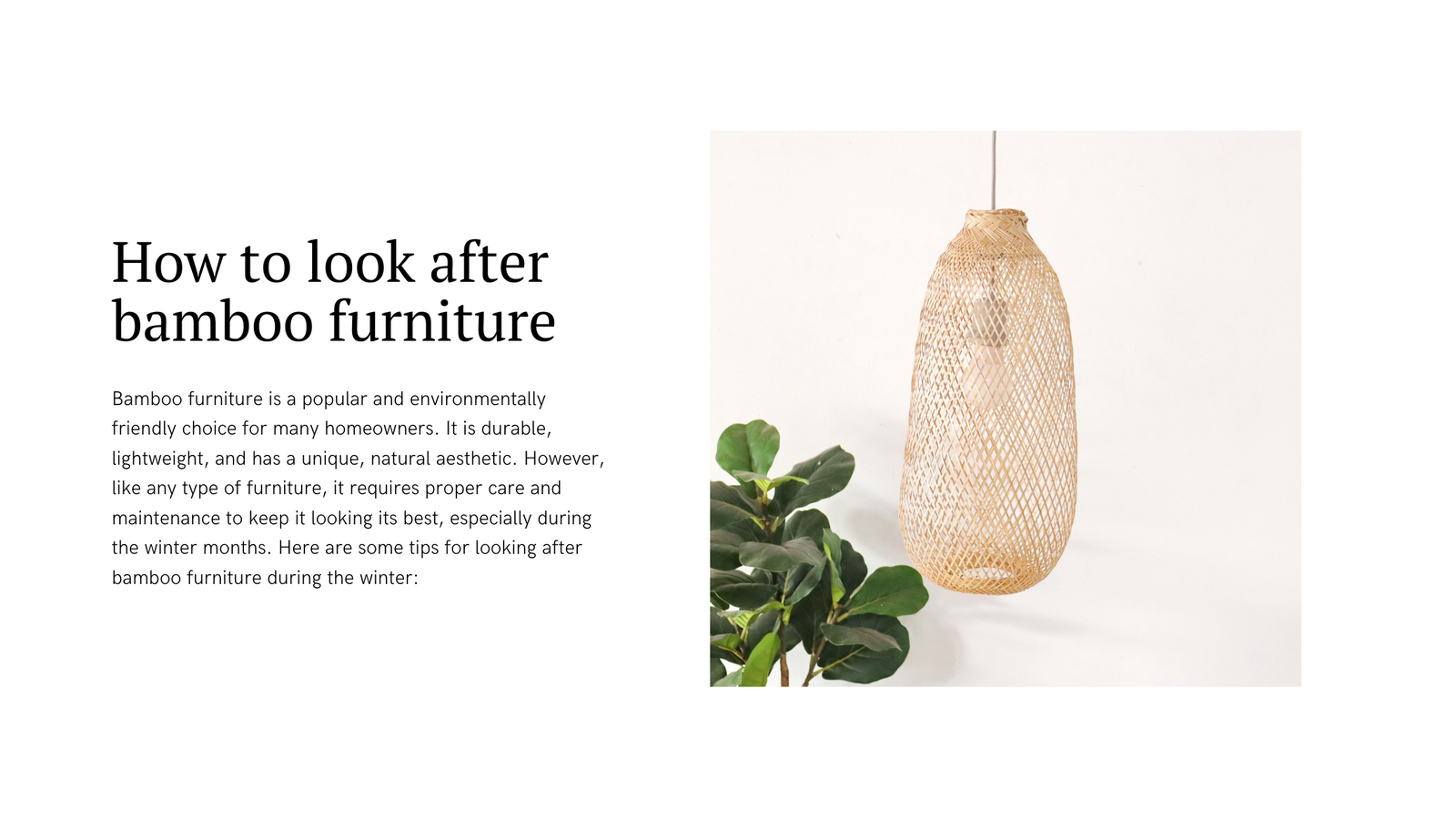 How to look after bamboo furniture