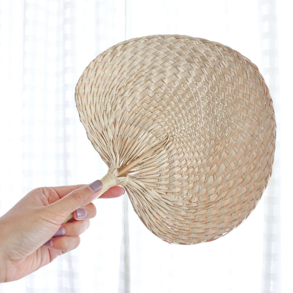 Dried Palm Leaf Wall Decorations