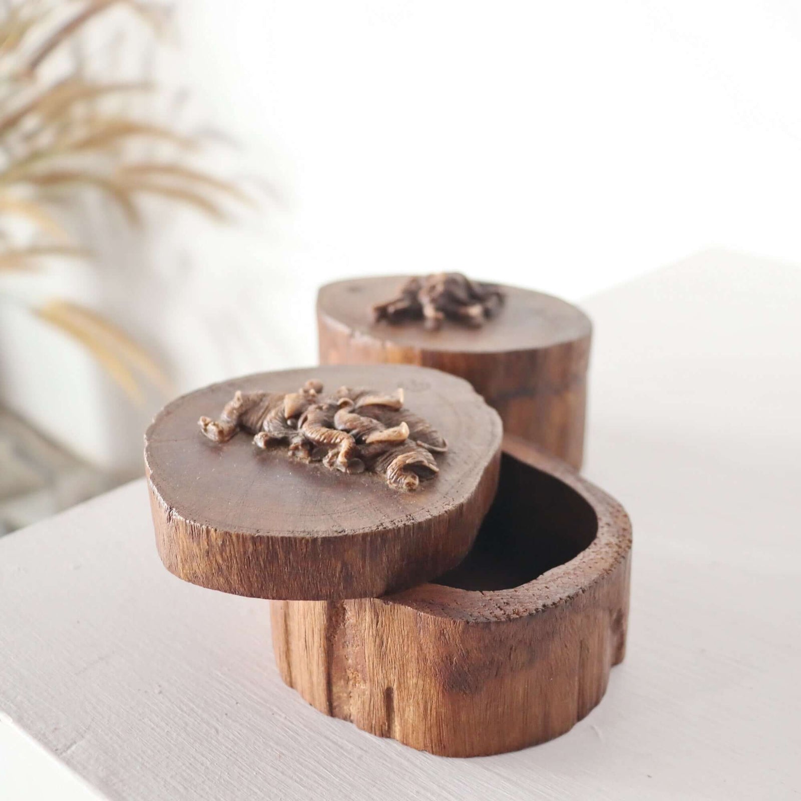 CHANG NOY - Wooden Money Box