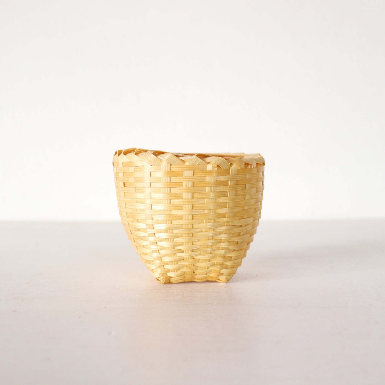 Cactus Plant Pot 10 pcs. - KA NOK PORN
