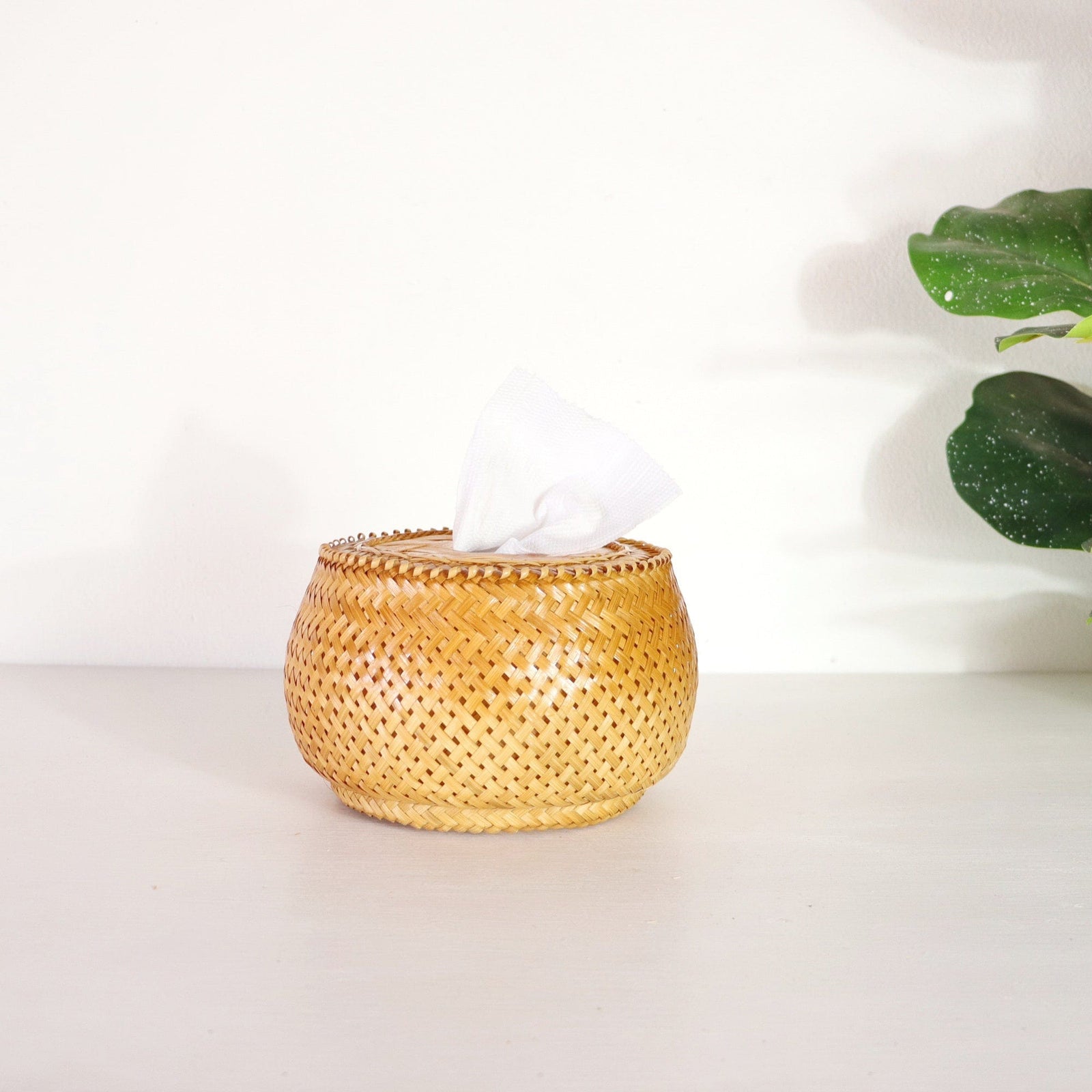 THA MON - Tissue Cover