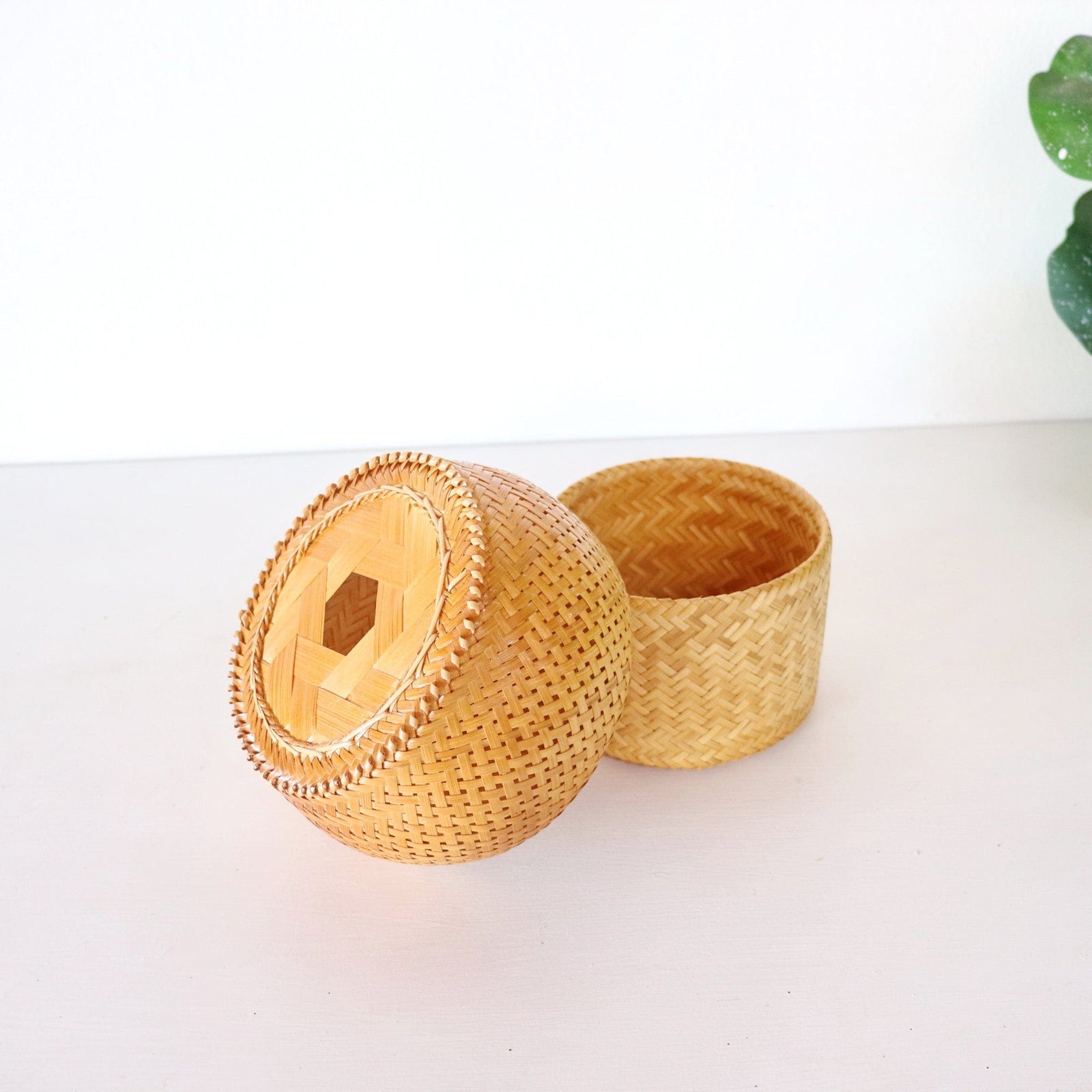 THA MON - Tissue Cover