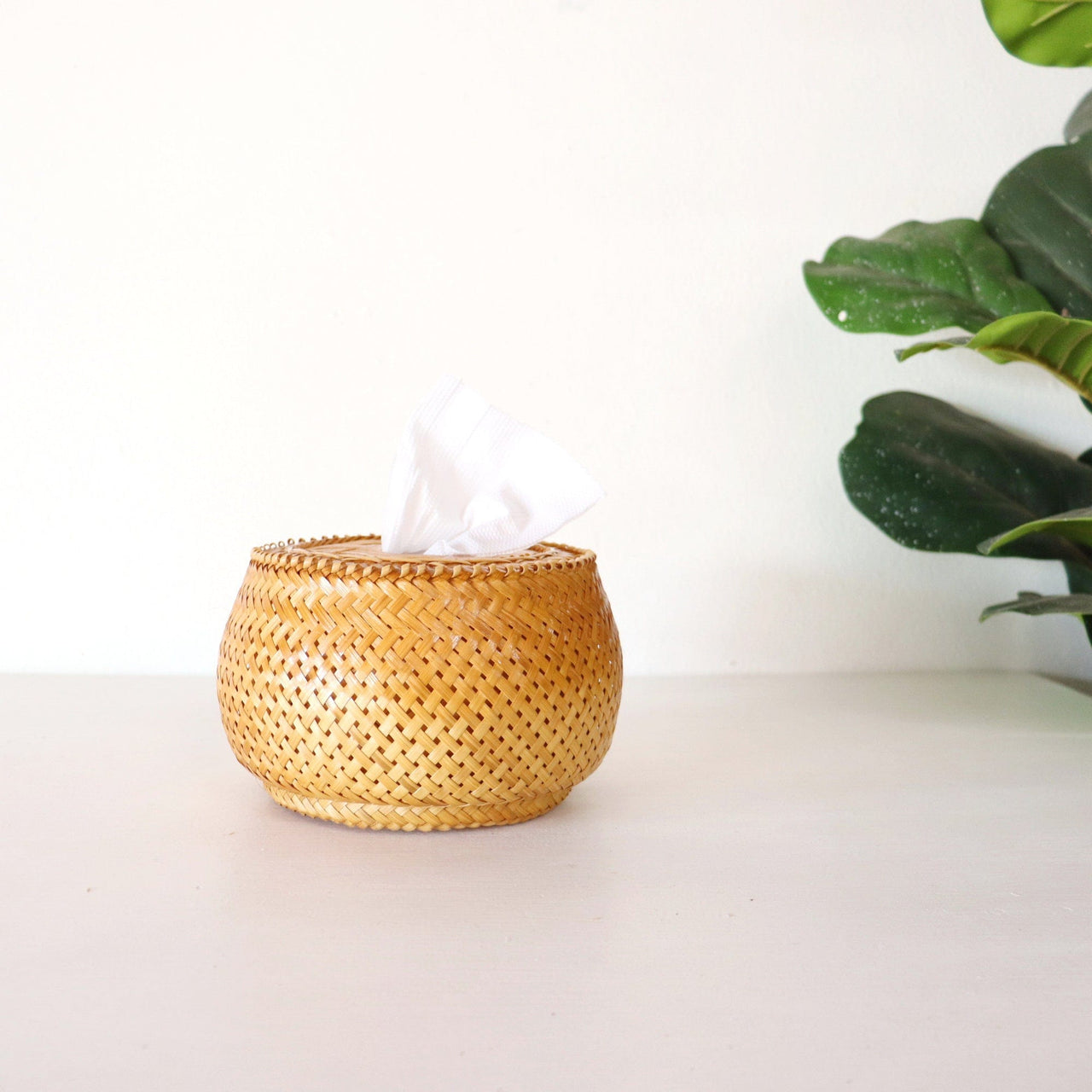 THA MON - Tissue Cover