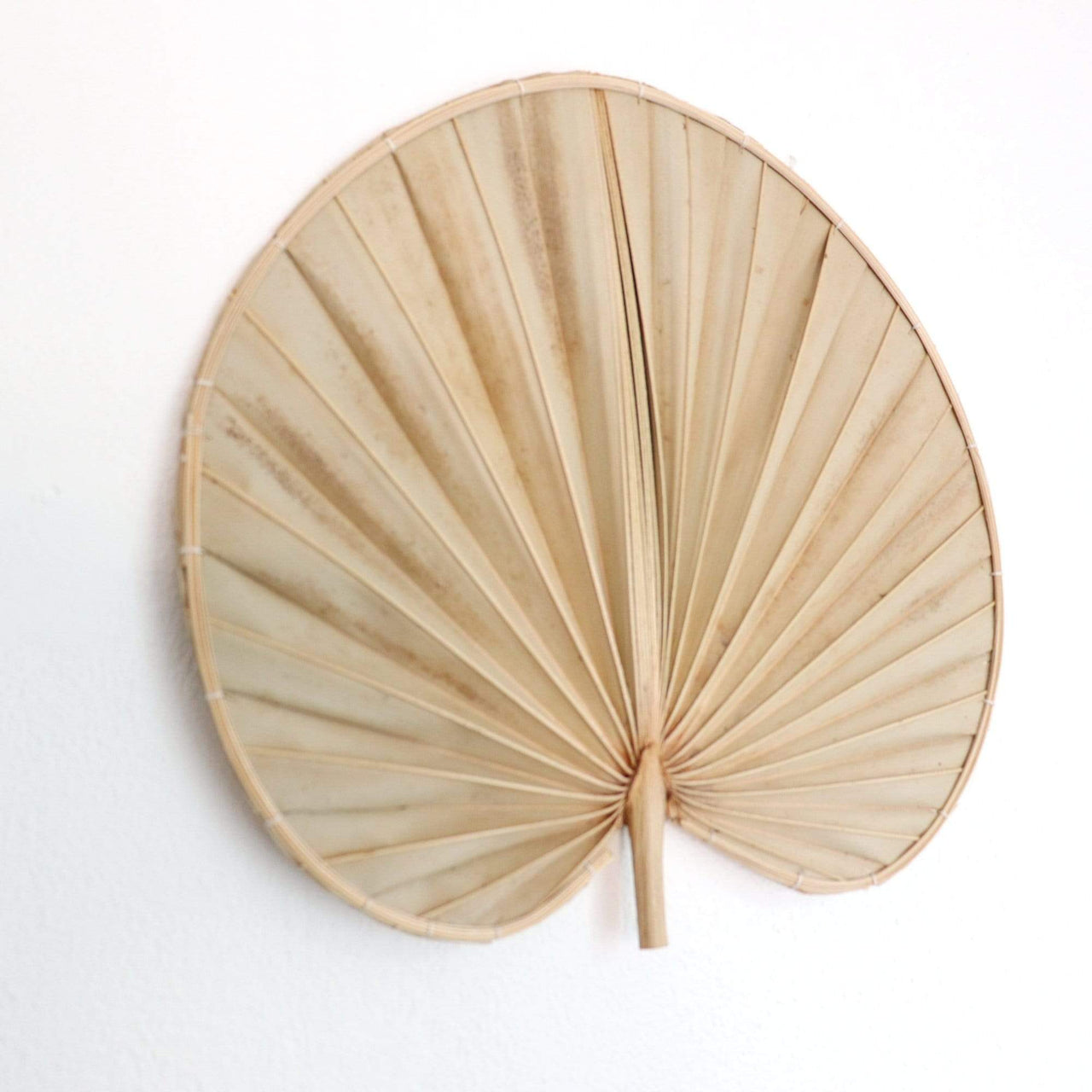 Palm Leaf Wall Decor Set of 2 - PHI YA PAT