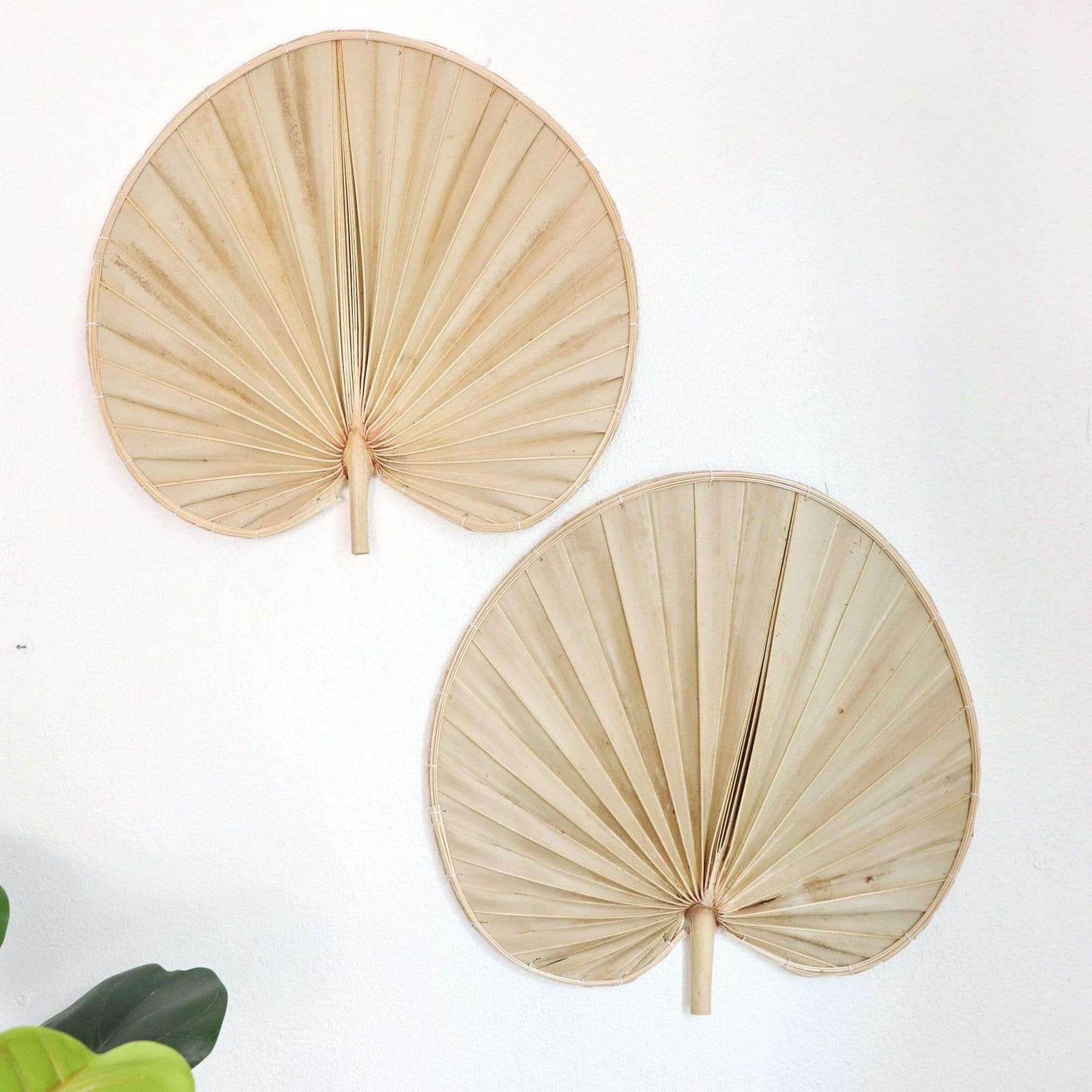 Palm Leaf Wall Decor Set of 2 - PHI YA PAT