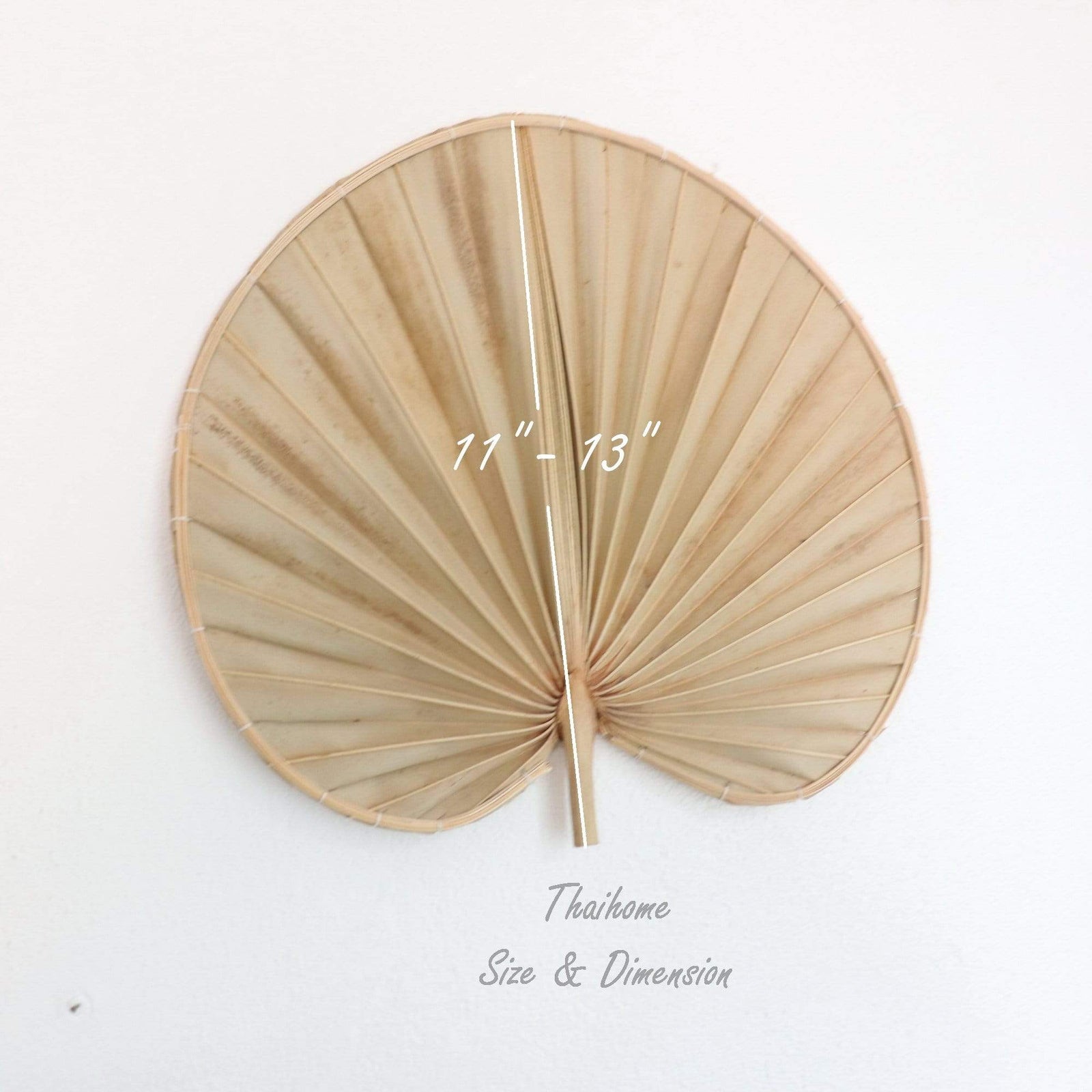 Palm Leaf Wall Decor Set of 2 - PHI YA PAT