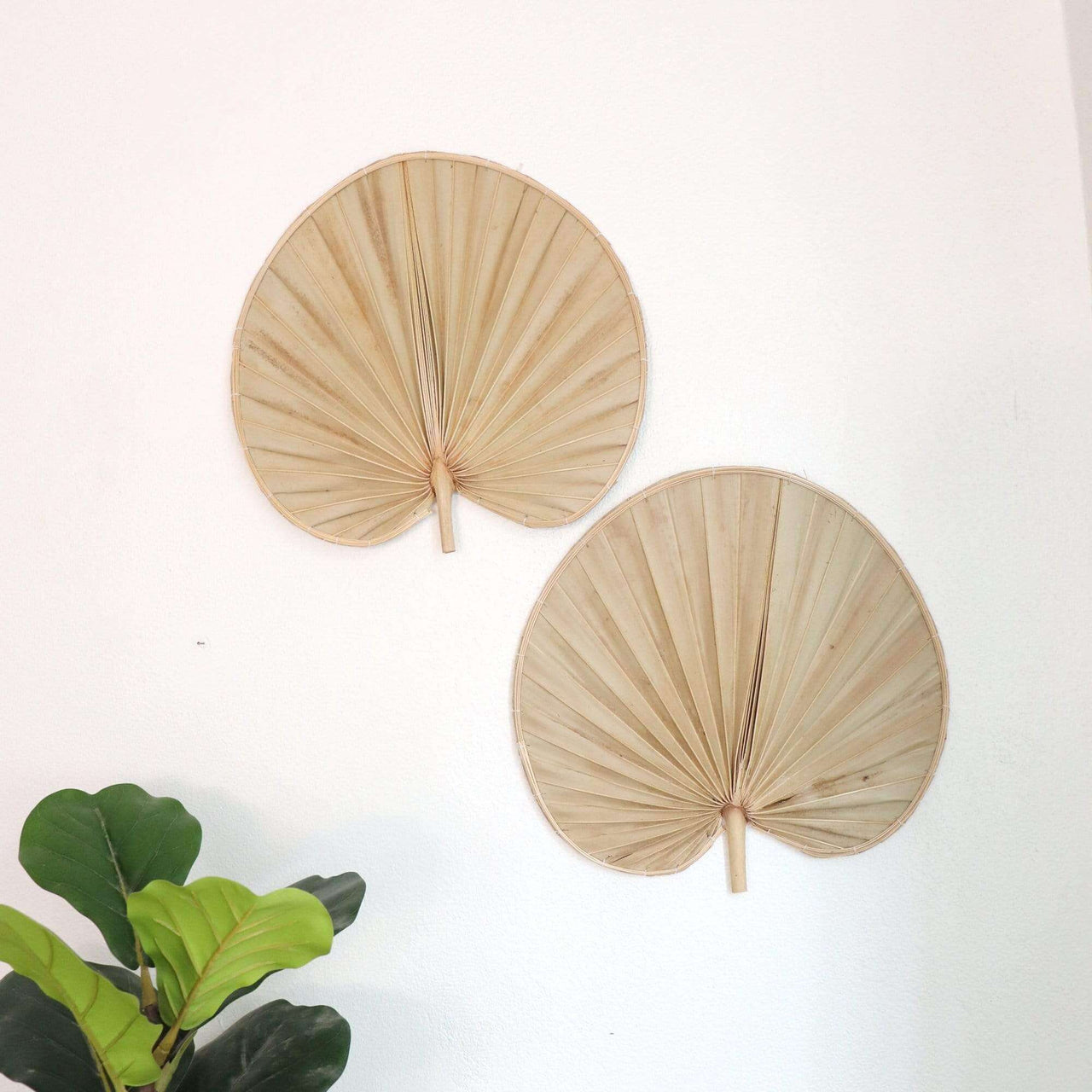 Palm Leaf Wall Decor Set of 2 - PHI YA PAT
