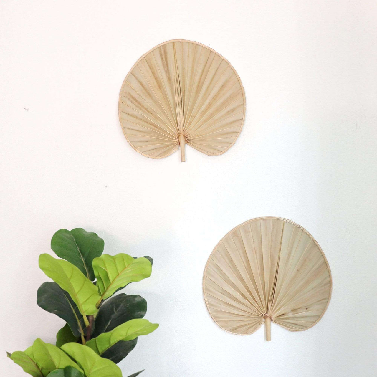 Palm Leaf Wall Decor Set of 2 - PHI YA PAT